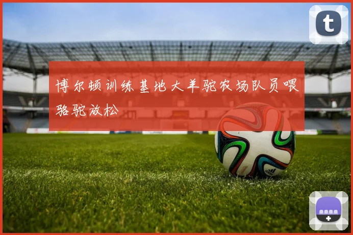 博尔顿训练基地大羊驼农场队员喂骆驼放松