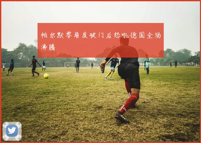 帕尔默零角度破门后怒吼德国全场沸腾
