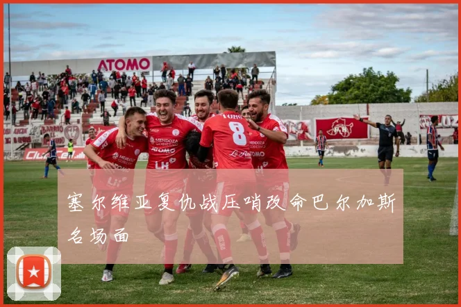 塞尔维亚复仇战压哨改命巴尔加斯名场面