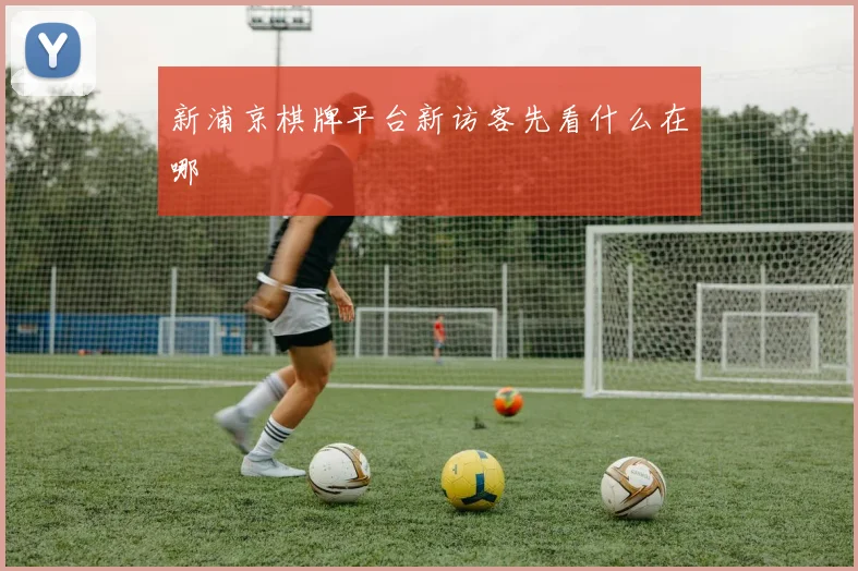 新浦京棋牌平台新访客先看什么在哪
