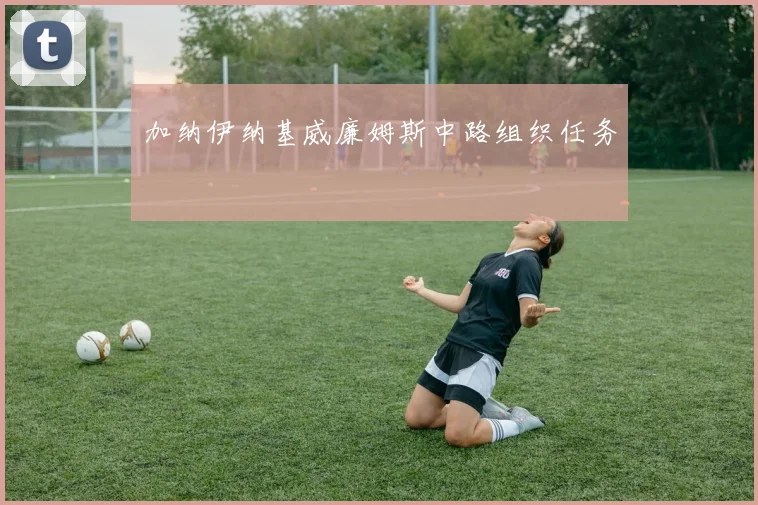 加纳伊纳基威廉姆斯中路组织任务