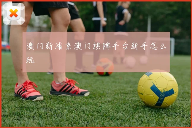 澳门新浦京澳门棋牌平台新手怎么玩